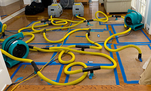 Professional Water Damage Restoration technician working in Bozrah, CT